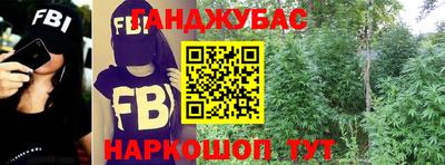 прущие грибы Тверь