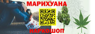 прущие грибы Тверь