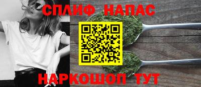прущие грибы Тверь