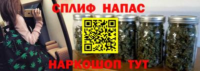 прущие грибы Тверь