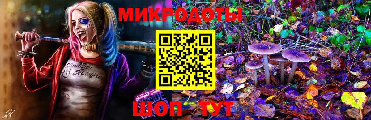 Кулебаки  Псилоцибиновые грибы Cubensis  Вход с VPN  Псилоцибиновые грибы Psilocybine cubensis 