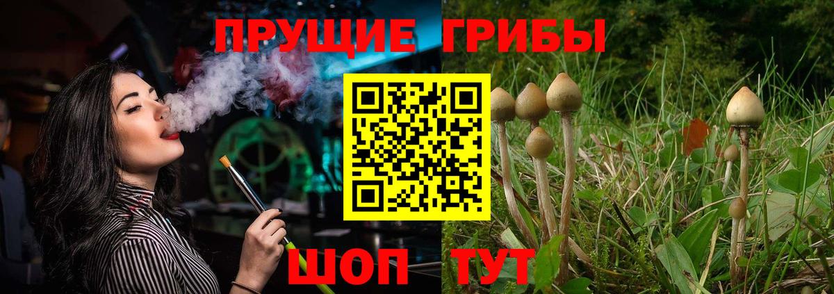 Псилоцибиновые грибы MAGIC MUSHROOMS Кулебаки
